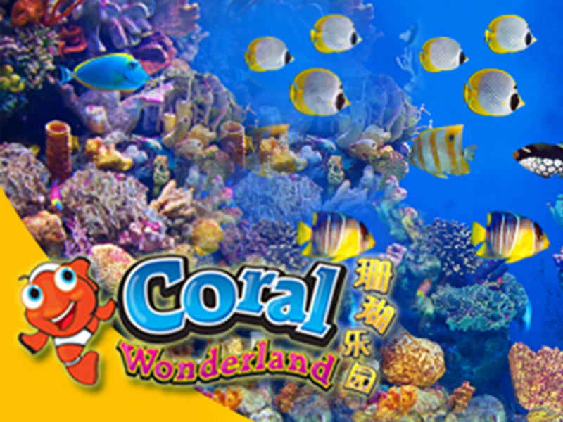 Property Attractioncoral Wonderland Hallmark Hotel